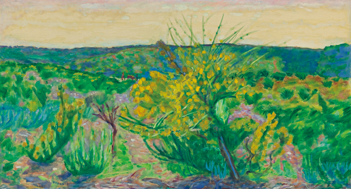  Piere Bonnard —— 30